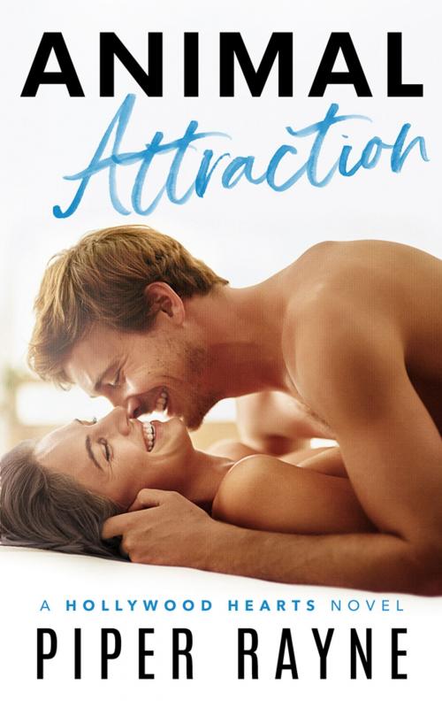 Cover of the book Animal Attraction (Hollywood Hearts) by Piper Rayne, Piper Rayne, Inc.