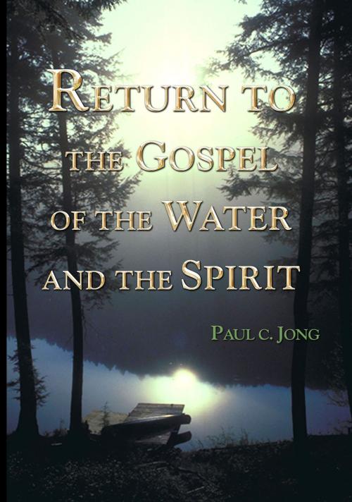 Cover of the book RETURN TO THE GOSPEL OF THE WATER AND THE SPIRIT by Paul C. Jong, Hephzibah Publishing House