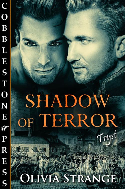 Cover of the book Shadow of Terror by Olivia Starke, Cobblestone Press