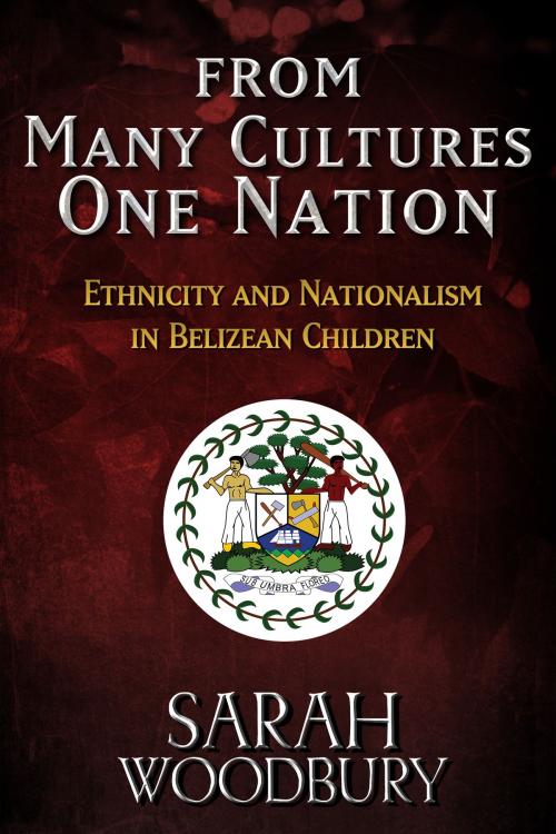 Cover of the book From Many Cultures, One Nation by Sarah Woodbury, The Morgan-Stanwood Publishing Group