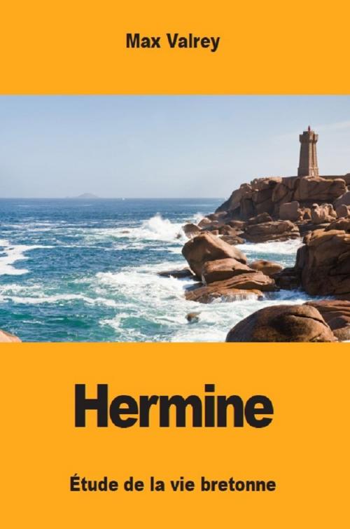 Cover of the book Hermine by Max Valrey, Prodinnova
