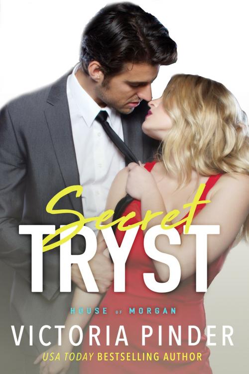 Cover of the book Secret Tryst by Victoria Pinder, Love in a Book