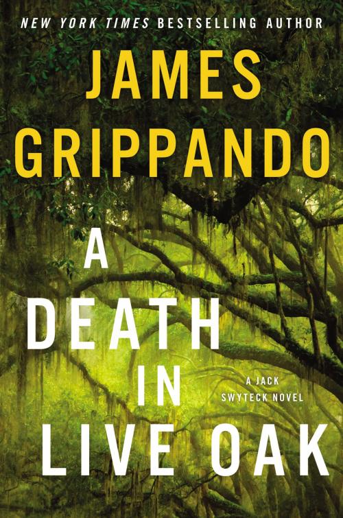 Cover of the book A Death in Live Oak by James Grippando, Harper