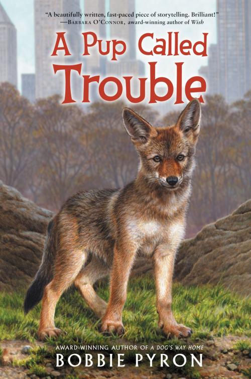 Cover of the book A Pup Called Trouble by Bobbie Pyron, Katherine Tegen Books
