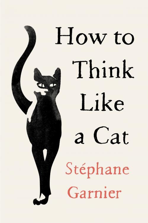 Cover of the book How to Think Like a Cat by Stephane Garnier, Harper Wave
