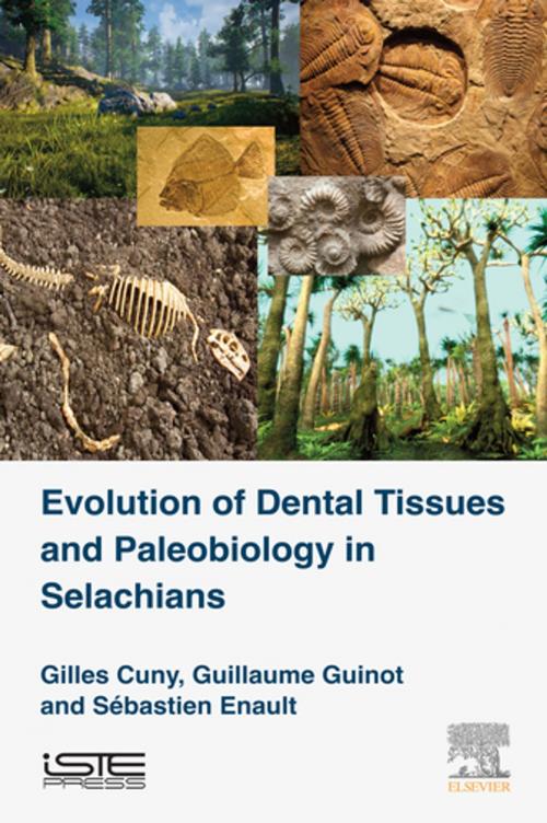Cover of the book Evolution of Dental Tissues and Paleobiology in Selachians by Guillaume Guinot, Sebastien Enault, Gilles Cuny, Elsevier Science