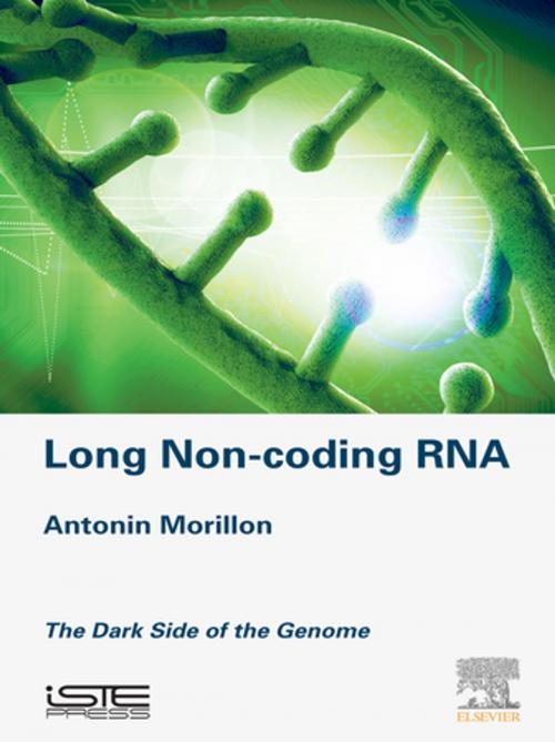 Cover of the book Long Non-coding RNA by Antonin Morillon, Elsevier Science