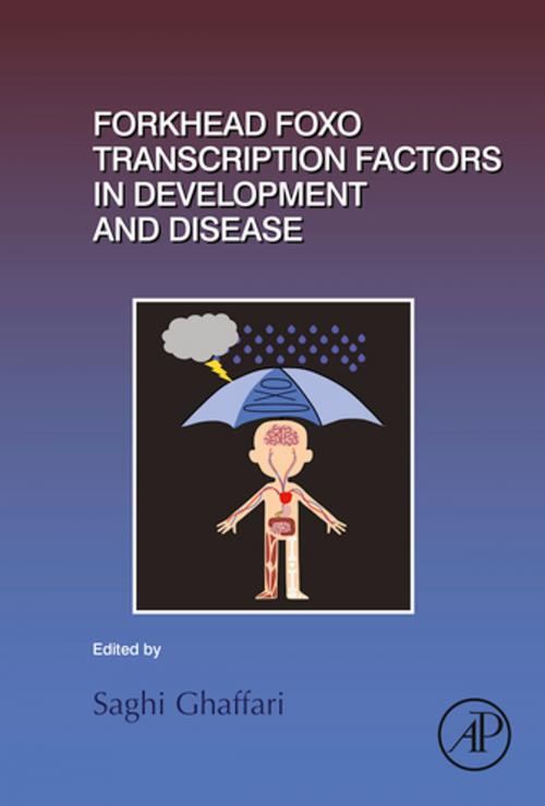 Cover of the book Forkhead FOXO Transcription Factors in Development and Disease by Saghi Ghaffari, Elsevier Science