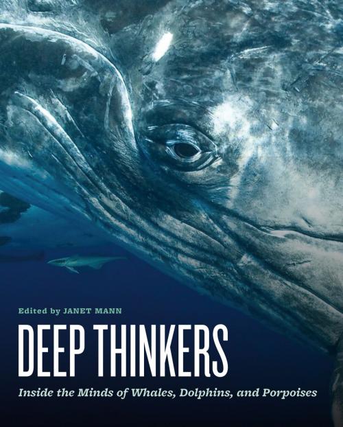 Cover of the book Deep Thinkers by , University of Chicago Press