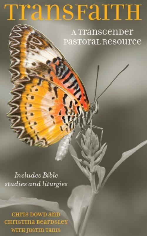 Cover of the book Transfaith: A Trangender pastoral resource by Chris Dowd, Christina Beardsley, Justin Tanis, Darton, Longman & Todd LTD