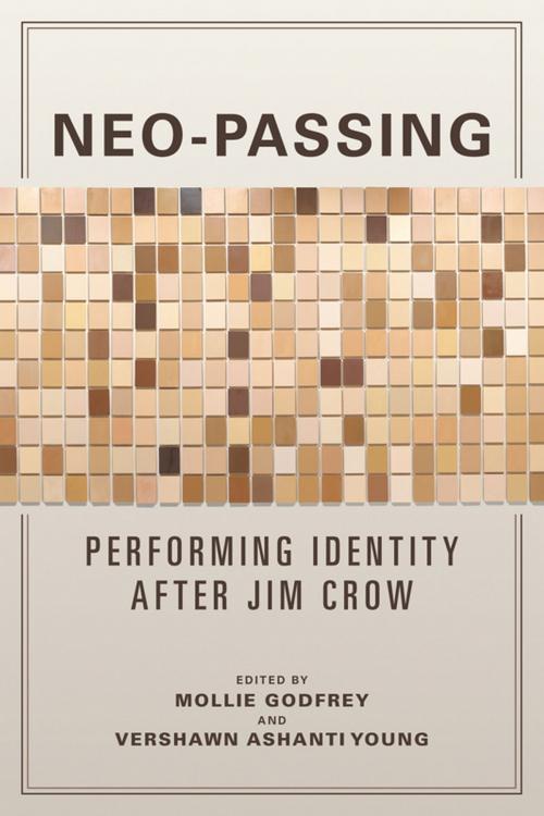 Cover of the book Neo-Passing by , University of Illinois Press