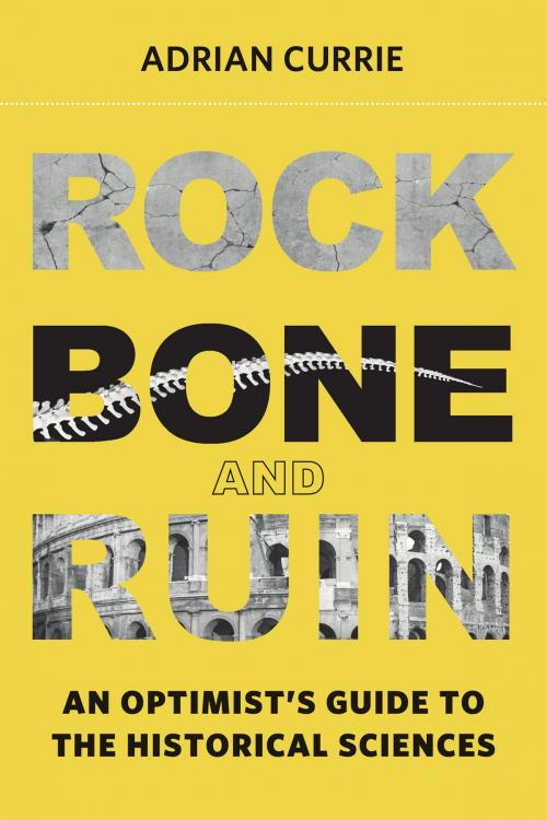 Cover of the book Rock, Bone, and Ruin by Adrian Currie, The MIT Press
