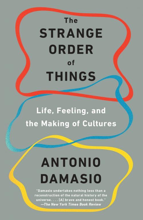 Cover of the book The Strange Order of Things by Antonio Damasio, Knopf Doubleday Publishing Group