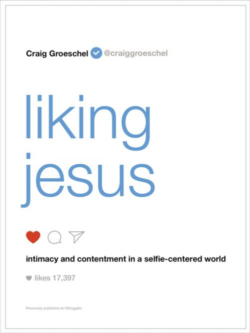 Cover of the book Liking Jesus by Craig Groeschel, Zondervan