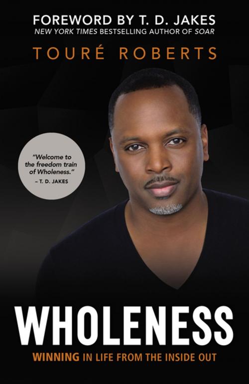 Cover of the book Wholeness by Touré Roberts, Zondervan