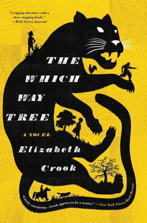 Cover of the book The Which Way Tree by Elizabeth Crook, Little, Brown and Company