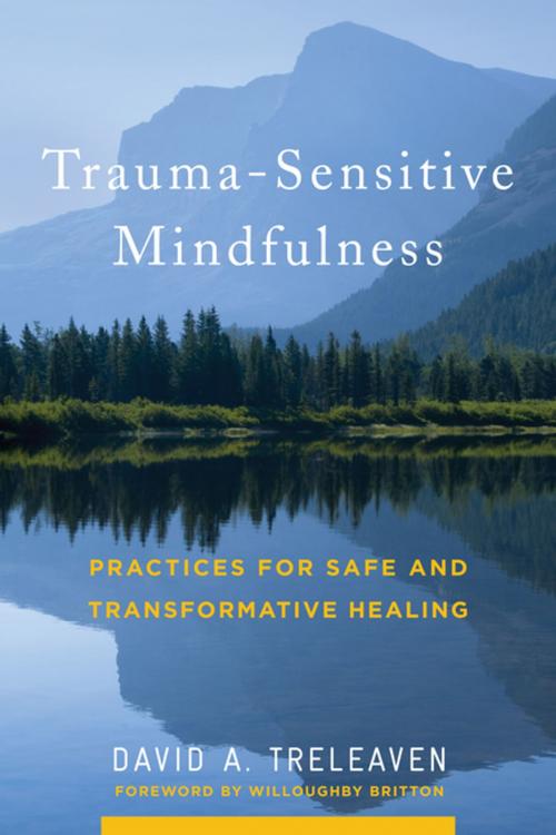 Cover of the book Trauma-Sensitive Mindfulness: Practices for Safe and Transformative Healing by David A. Treleaven, W. W. Norton & Company