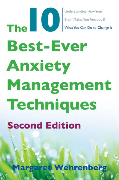 Cover of the book The 10 Best-Ever Anxiety Management Techniques: Understanding How Your Brain Makes You Anxious and What You Can Do to Change It (Second) by Margaret Wehrenberg, Psy.D., W. W. Norton & Company