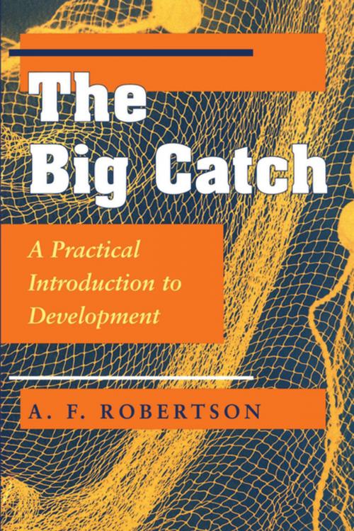 Cover of the book The Big Catch by A. F. Robertson, Taylor and Francis