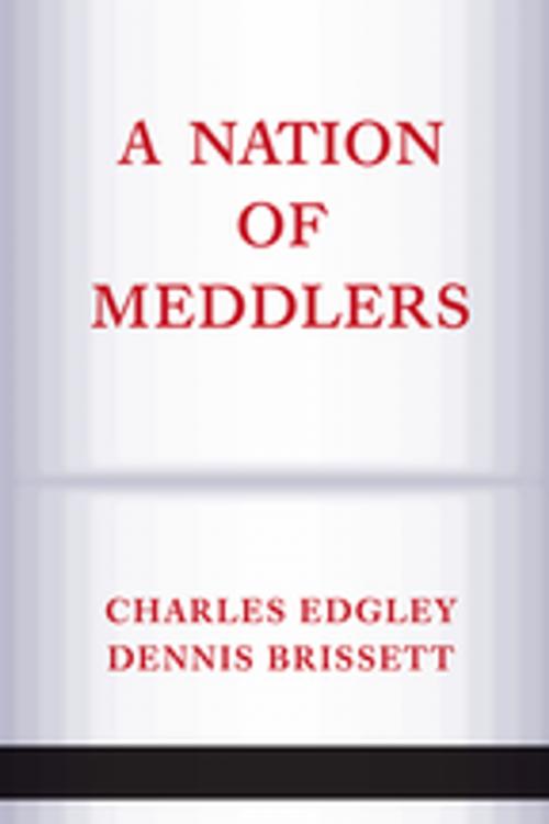 Cover of the book A Nation Of Meddlers by Charles Edgley, Taylor and Francis