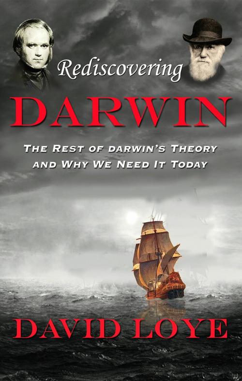 Cover of the book Rediscovering Darwin by David Loye, David Loye