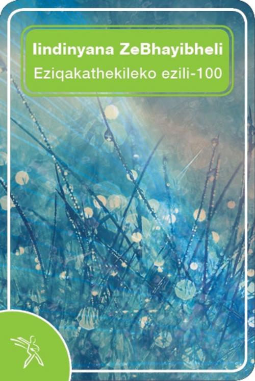 Cover of the book Iindinyana ZeBhayibheli Eziqakathekileko ezili-100 by Bible Society of South Africa, Bible Society of South Africa