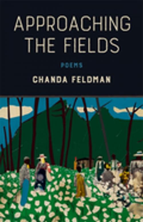 Cover of the book Approaching the Fields by Chanda Feldman, LSU Press