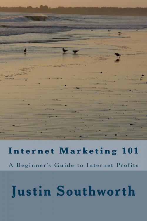 Cover of the book Internet Marketing 101: A Beginner's Guide to Internet Profits by Justin Southworth, DeMar Southard