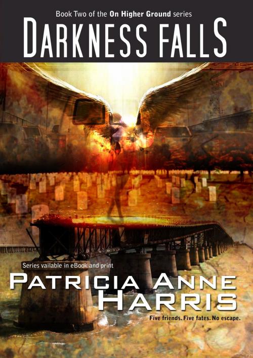 Cover of the book Darkness Falls by Patricia Anne Harris, Patricia Anne Harris
