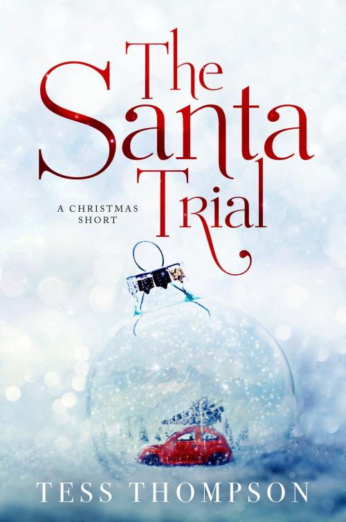 Cover of the book The Santa Trial by Tess Thompson, 4kids5cats Editions