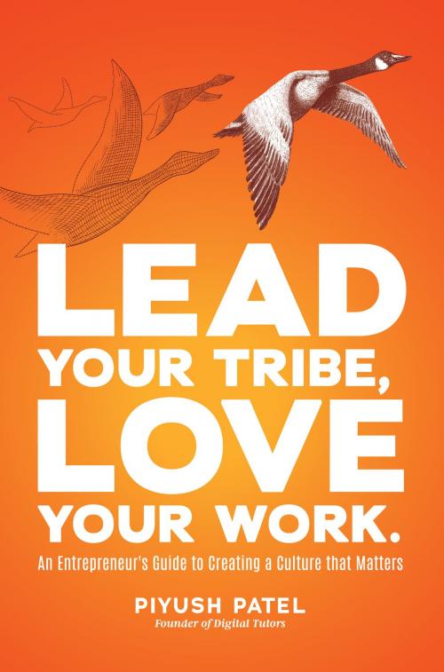 Cover of the book Lead Your Tribe, Love Your Work by Piyush Patel, Dream Big Imprint, LLC
