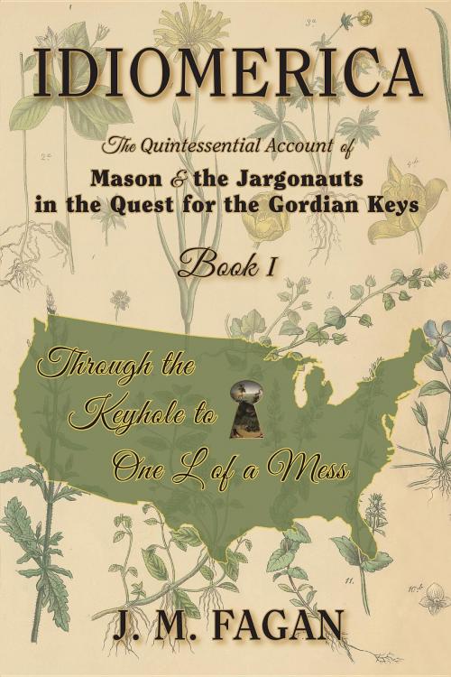 Cover of the book Through the Keyhole to One L of a Mess by J. M. Fagan, Nitrous Oxide Press