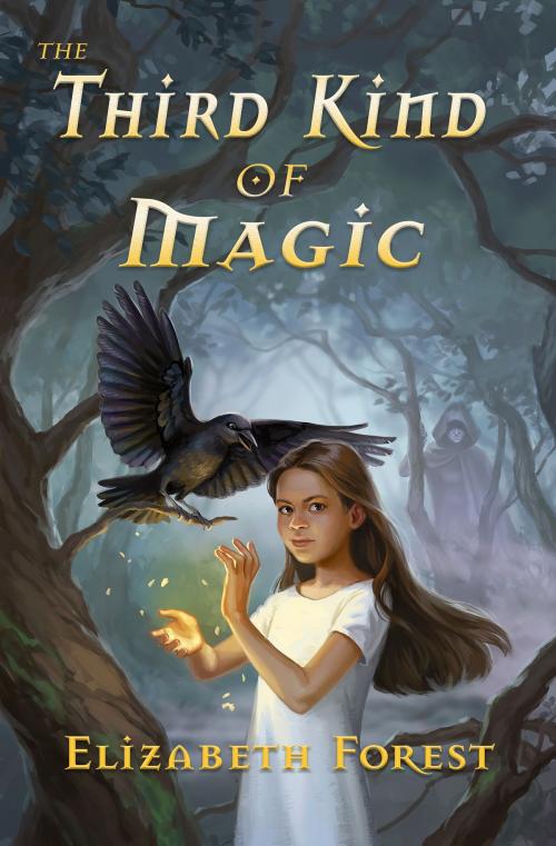 Cover of the book The Third Kind of Magic by Elizabeth Forest, Arbori Books