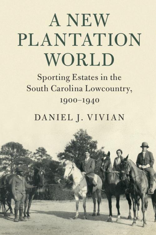 Cover of the book A New Plantation World by Daniel J. Vivian, Cambridge University Press