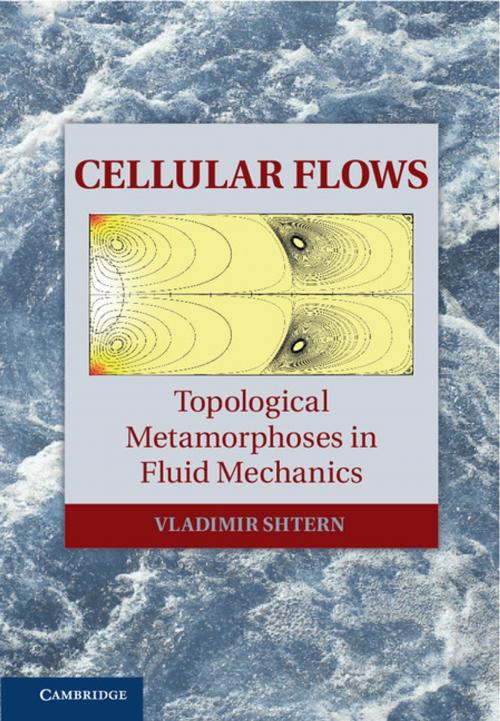 Cover of the book Cellular Flows by Vladimir Shtern, Cambridge University Press