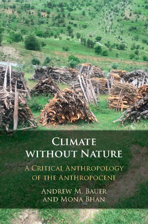Cover of the book Climate without Nature by Andrew M. Bauer, Mona Bhan, Cambridge University Press