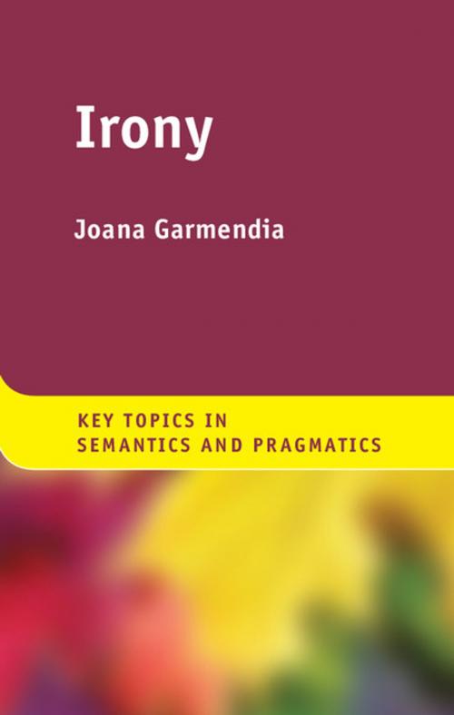 Cover of the book Irony by Joana Garmendia, Cambridge University Press