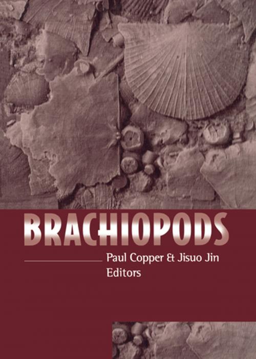 Cover of the book Brachiopods by Paul Copper, CRC Press