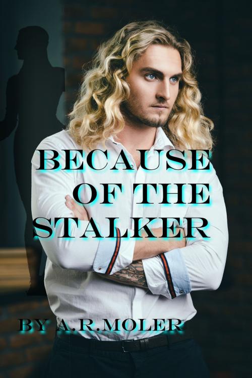 Cover of the book Because of the Stalker by A.R. Moler, A.R. Moler