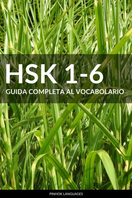 Cover of the book HSK 1-6 Guida Completa al Vocabolario by Pinhok Languages, Pinhok Languages