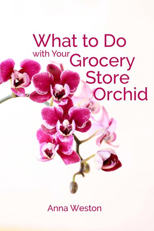 Cover of the book What to Do with Your Grocery Store Orchid by Anna Weston, Anna Weston