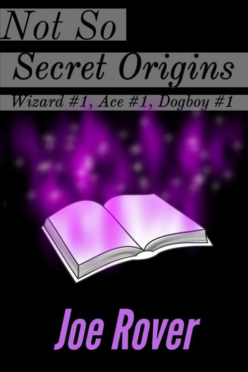 Cover of the book Not So Secret Origins by Joe Rover, Joe Rover