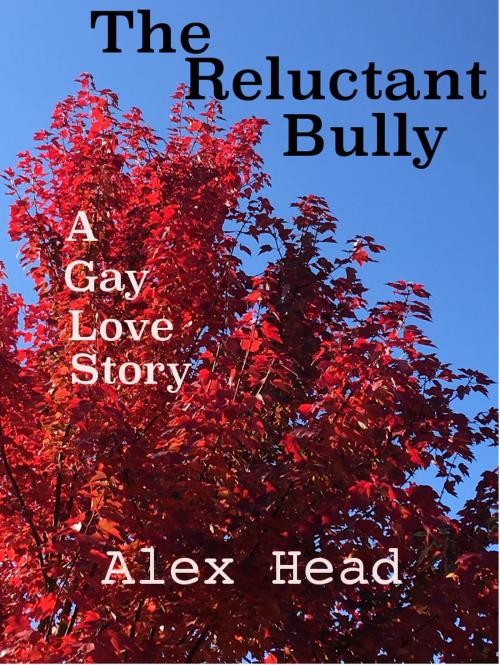 Cover of the book The Reluctant Bully by Alex Head, Alex Head