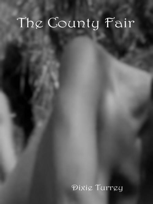 Cover of the book The County Fair by Dixie Turrey, Dixie Turrey