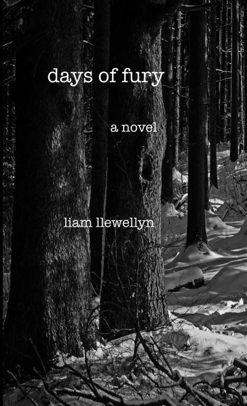 Cover of the book Days of Fury by Liam Llewellyn, L.L. Press