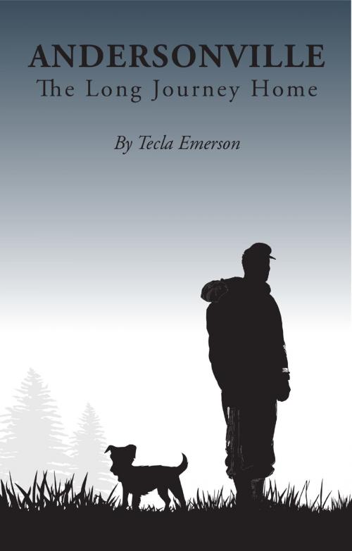 Cover of the book Andersonville: The Long Journey Home by Tecla Emerson, Tecla Emerson