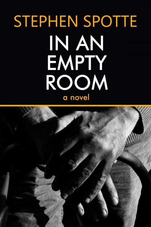 Cover of the book In An Empty Room: A Novel by Stephen Spotte, Open Books