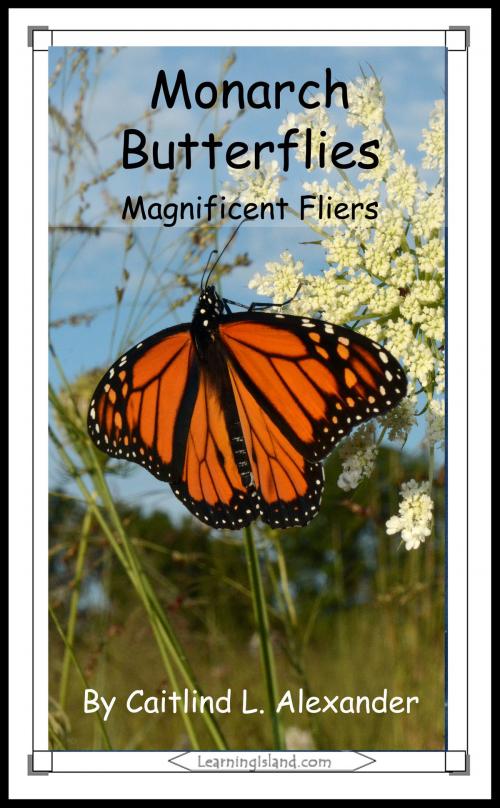 Cover of the book Monarch Butterflies: Magnificent Fliers by Caitlind L. Alexander, LearningIsland.com