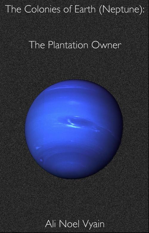 Cover of the book The Plantation Owner by Ali Noel Vyain, Ali Noel Vyain