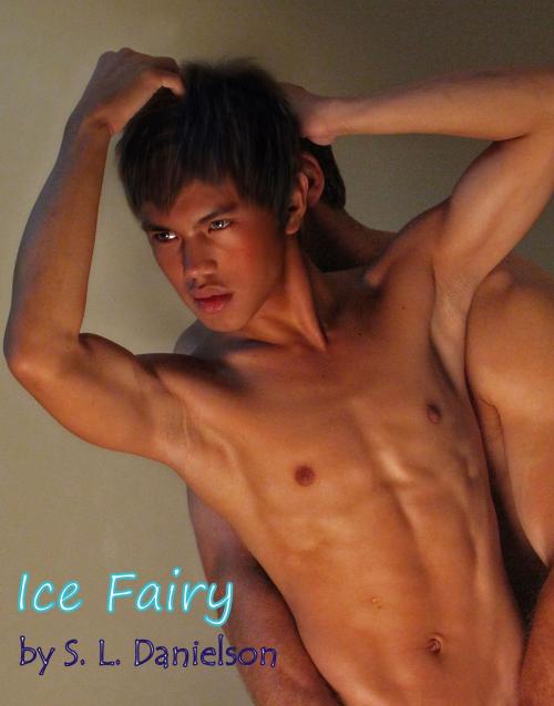 Cover of the book Ice Fairy by S. L. Danielson, S. L. Danielson